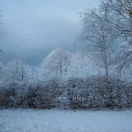 Сasa de vacaciones Haus 1795 Schwalbennest Wustrow (Fischland)